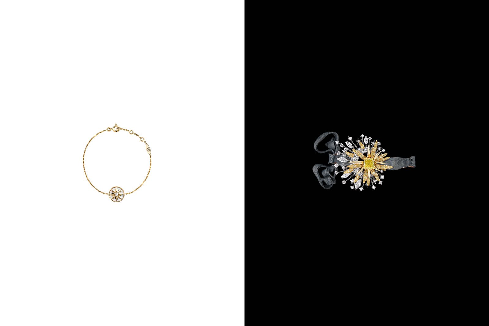  Dior Joaillerie creations featured in a new book, The A to Z of Victoire de Castellane