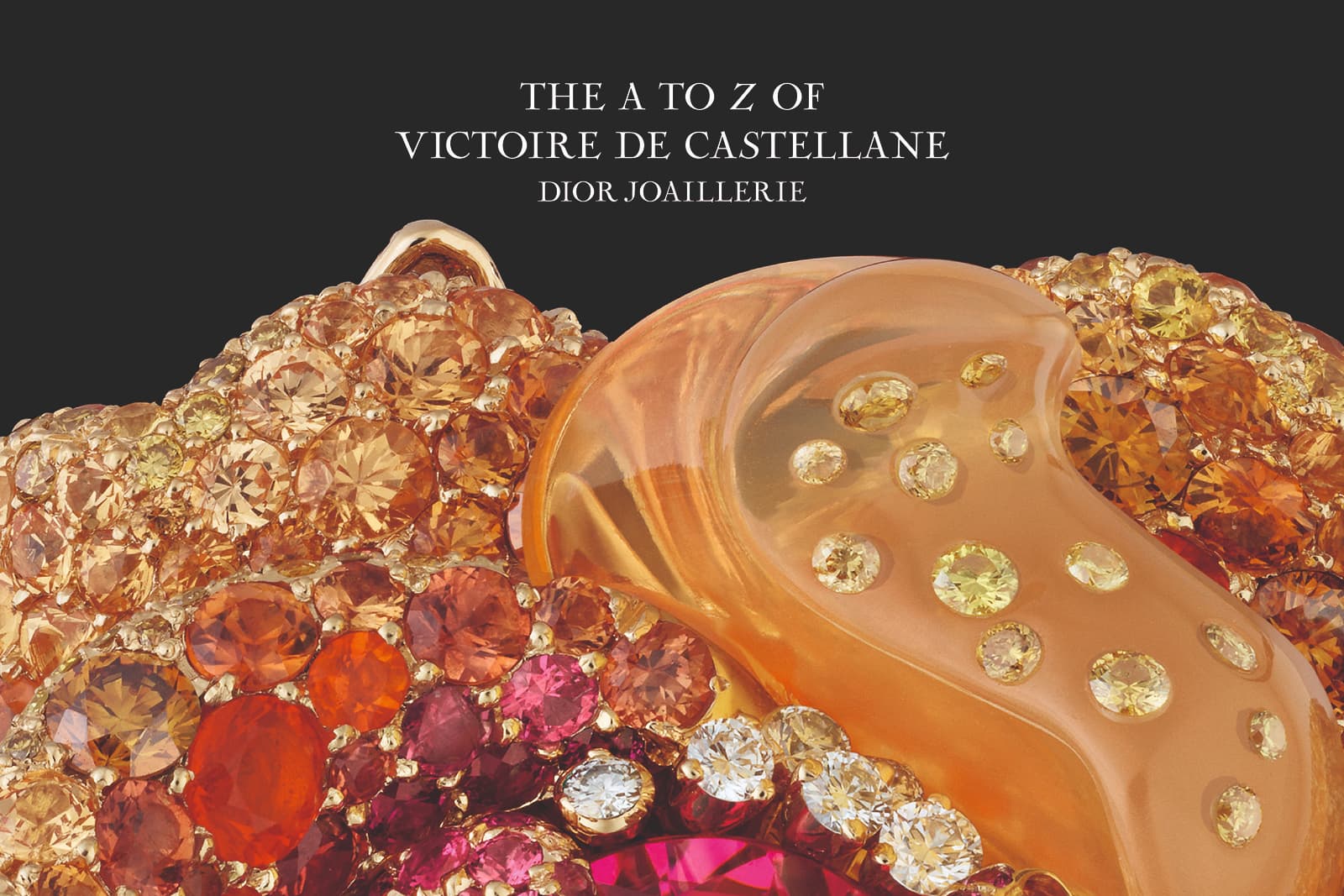 A new book dedicated to Dior Joaillerie titled The A to Z of Victoire de Castellane