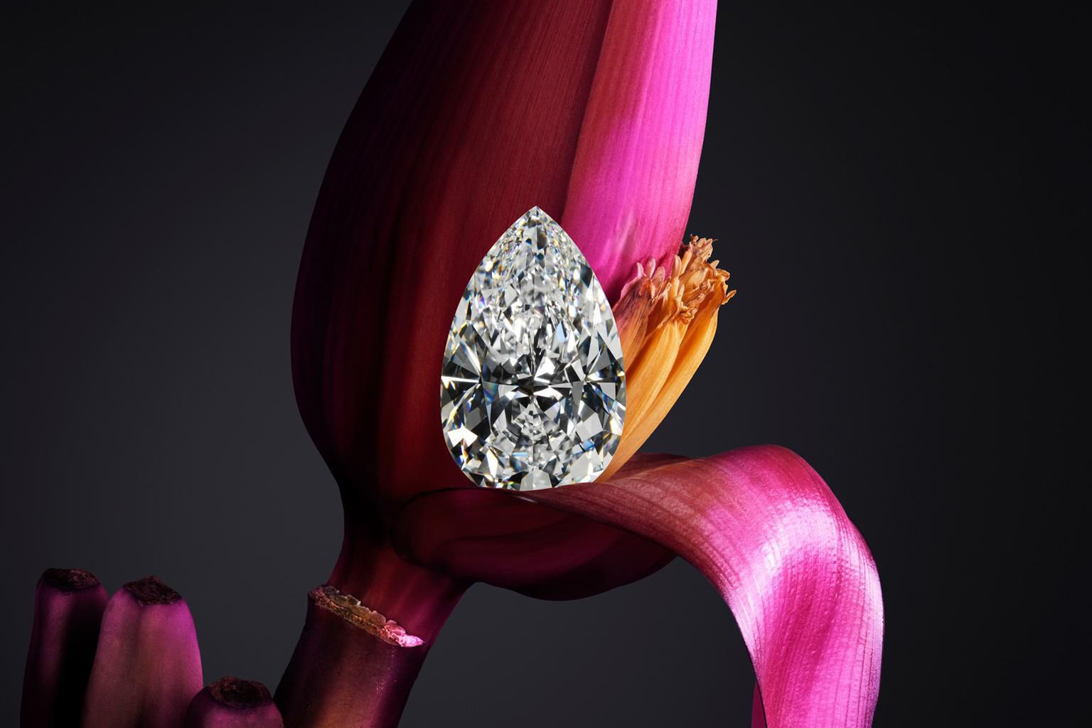  A 25-carat pear-shape diamond from the Garden of Kalahari necklace