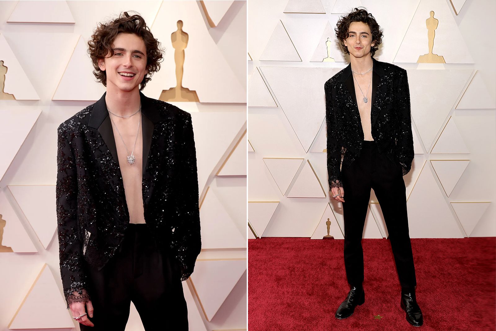  Timothée Chalamet wore Cartier Panther necklaces on the red carpet at the Oscars 2022