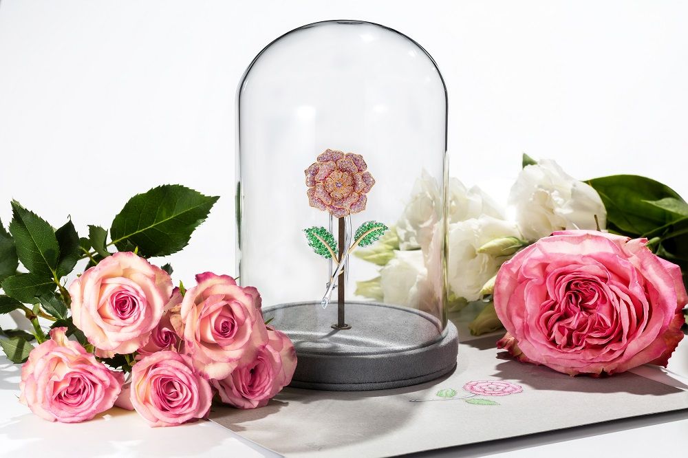 Hirsh London 'The Jubilee Rose' in honour of the Queen's Platinum Jubilee 