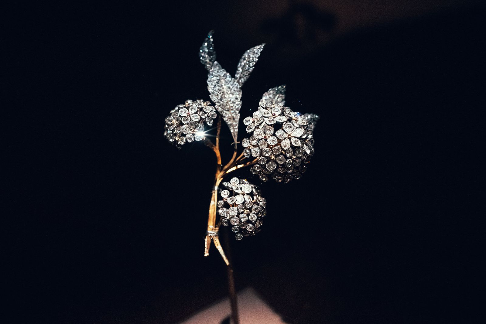  Chaumet floral brooch in diamonds