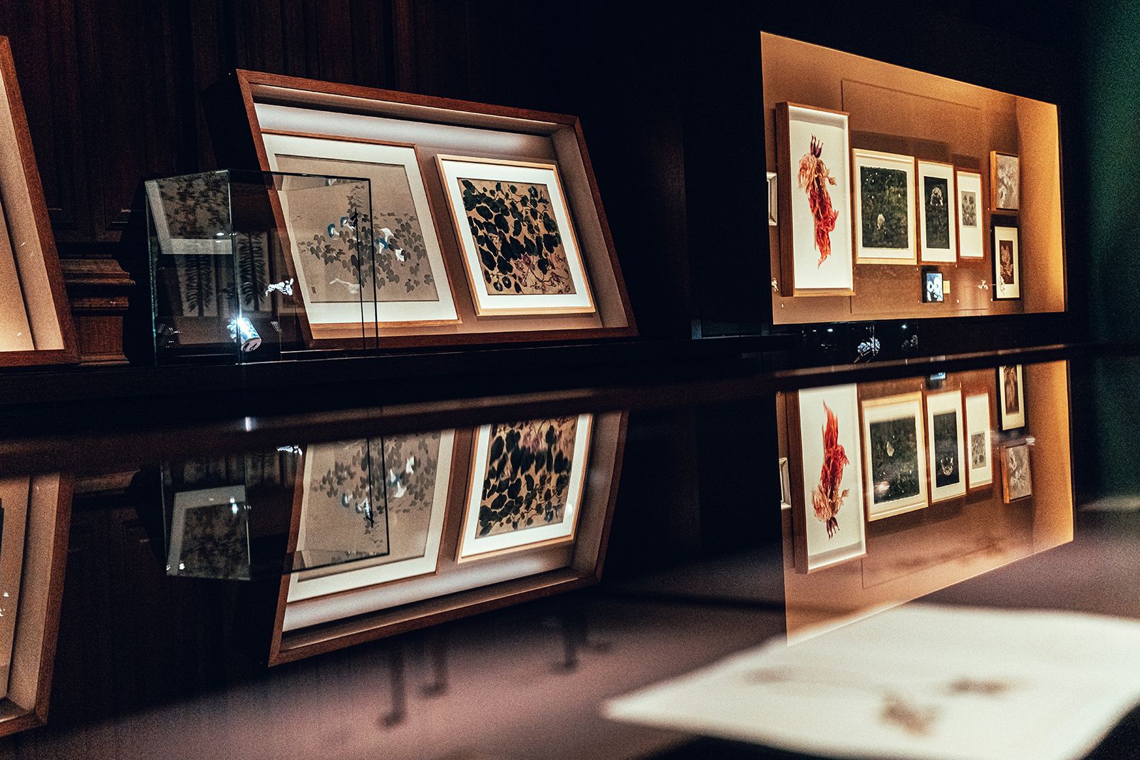  Chaumet VEGETAL Exhibition detailed drawing of flora