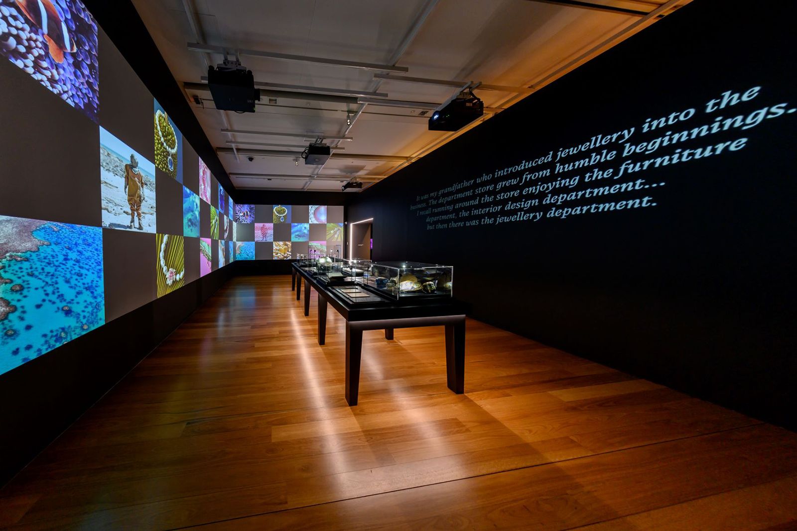  World of Wonder: Margot McKinney Exhibition in Brisbane exhibition space