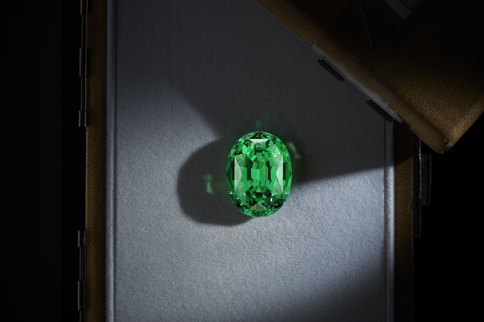  The Louis Vuitton Grace necklace from the Spirit High Jewellery collection is set with this 65.26 carat tsavorite garnet
