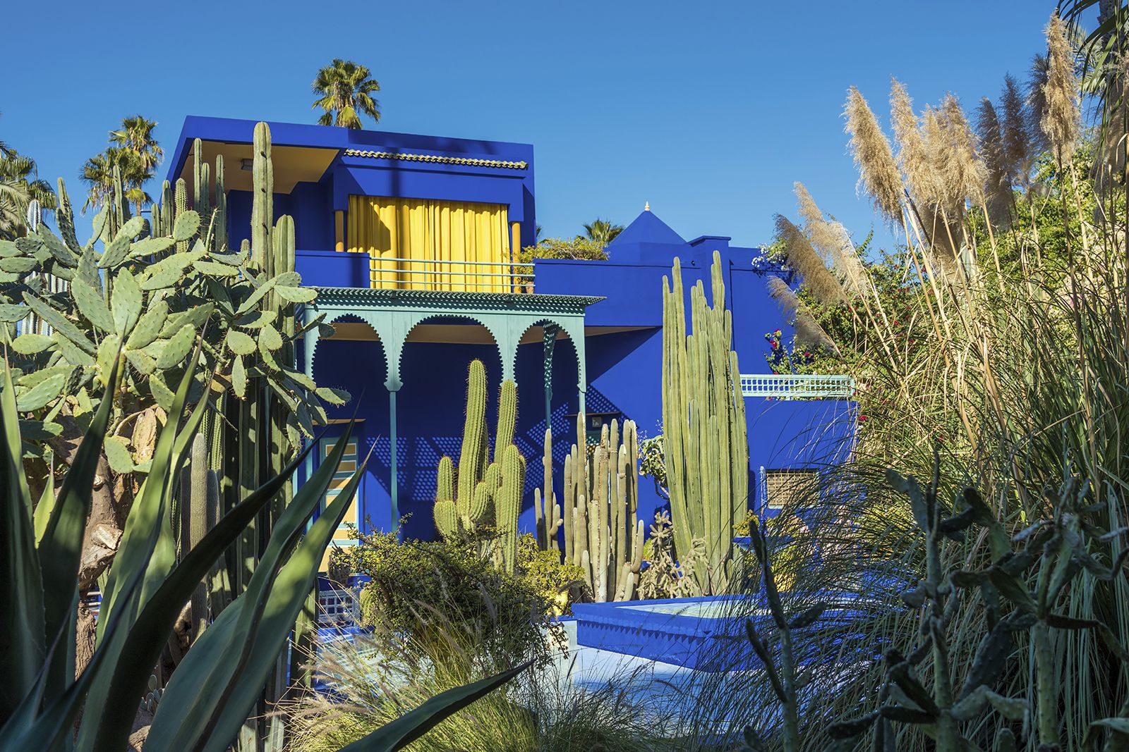  Inspirational image of the Marrakech Gardens