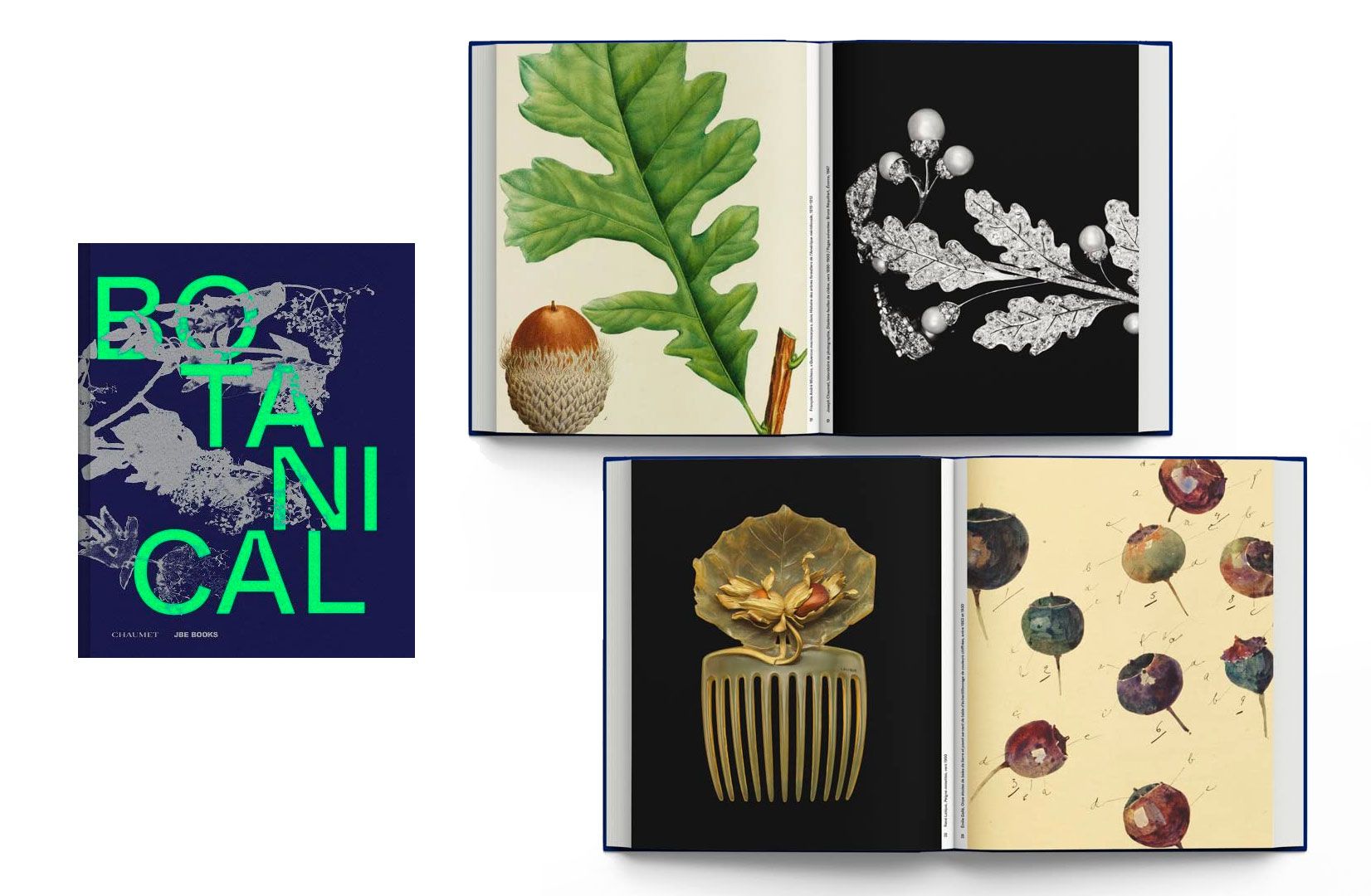 Coffee table book Botanical - Observing Beauty by Chaumet and published by JBE Books, alongside two inside shots displaying pieces of jewellery inspired by nature 