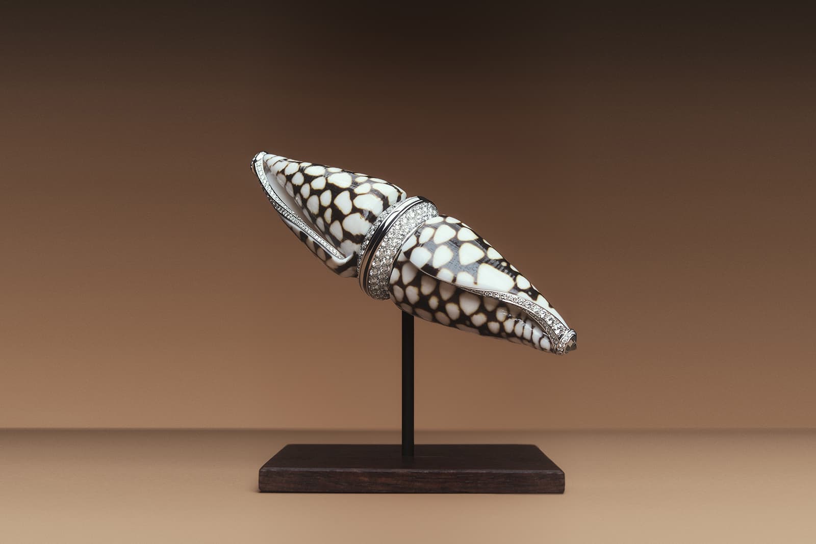  Boucheron natural shell Cornus Marmoreus, diamond and white gold Jack Coquillage brooch from the Carte Blanche Ailleurs High Jewellery collection