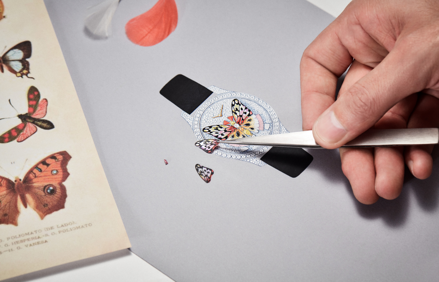  The butterfly motif is reminiscent of the vivid flowers in Christian Dior's Granville Garden
