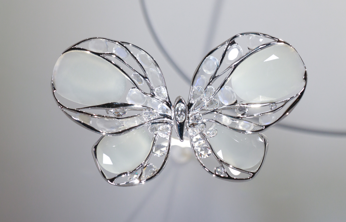 Feng J Papillon de Lumière brooch