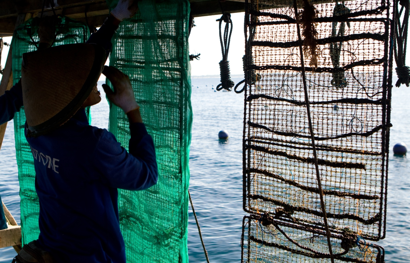  Autore owns and operates 10 South Sea pearl farms across Australia and Indonesia that harvest between 350,000 and 400,000 pearls per year 
