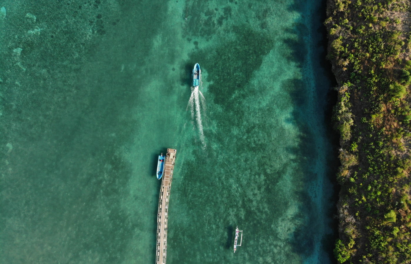 Autore owns and operates 10 South Sea pearl farms across Australia and Indonesia 