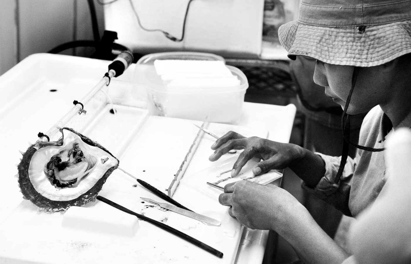  Autore has spent 15 years in research and development, creating its own method for assessing pearls – the Autore Five S’s - which includes Shine, Surface, Shade, Shape and Size