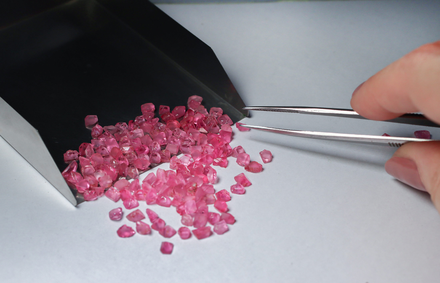  A selection of vibrant pink spinels ready to undergo cutting and polishing by Minehaus in Jaipur, India
