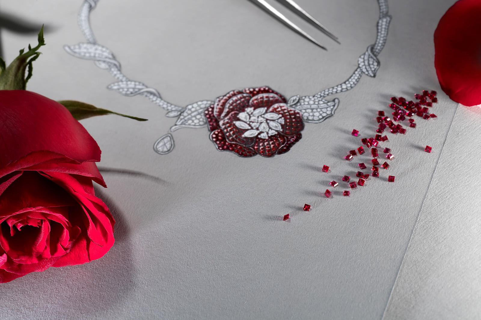 The Noble Ones collection by Stenzhorn