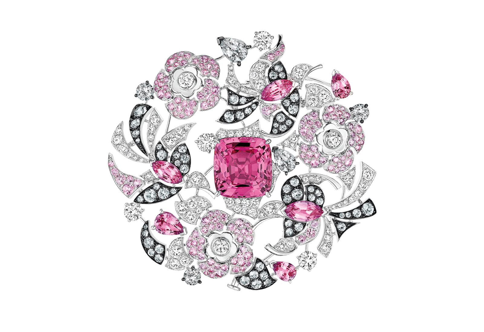  Coco Avant Chanel 