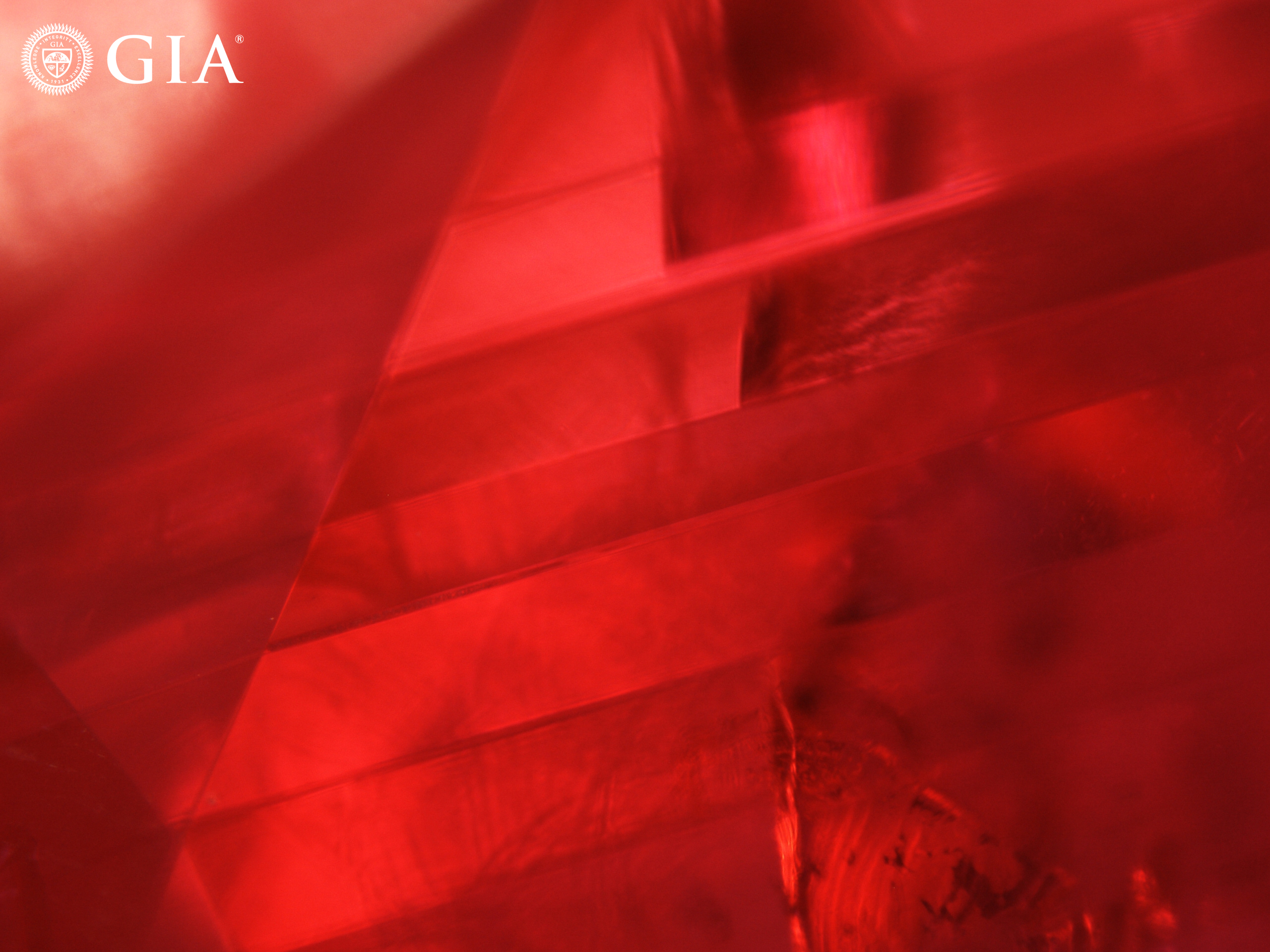  Burmese Rubies