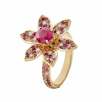 Pink Persuasion ring from the Petal Collection with a cushion-cut ruby in rose gold 